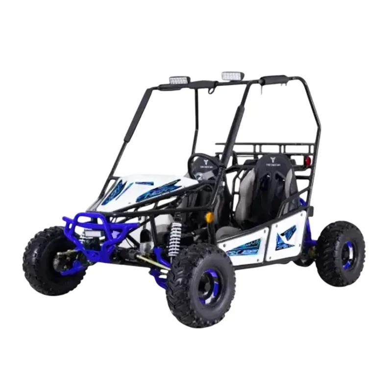 Buggy FX Maxi 125 Four Stroke 4T
