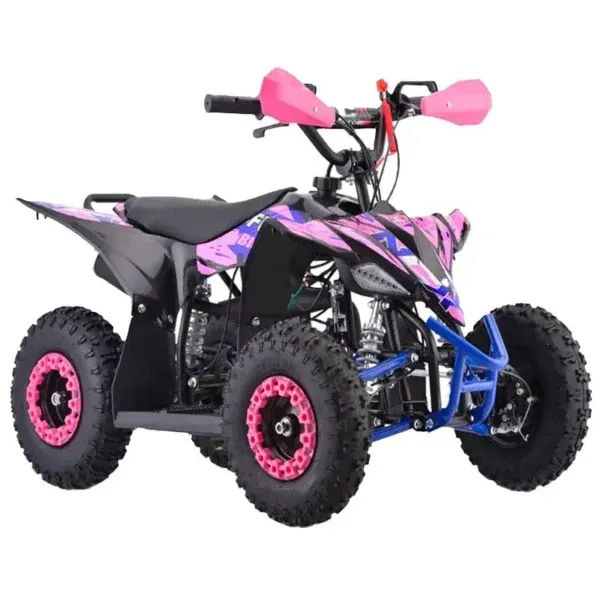 Mini Quad Furious Big 50 2T R6